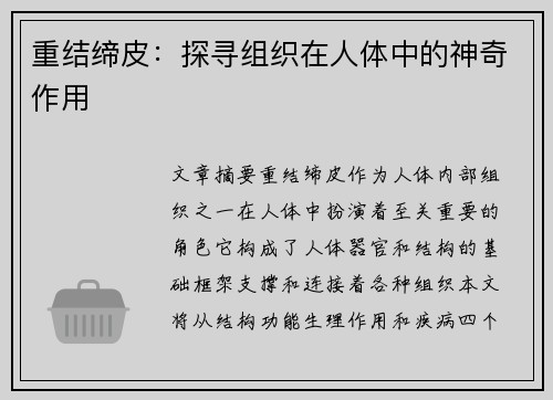 重结缔皮：探寻组织在人体中的神奇作用